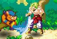 Dragon Ball Fighting